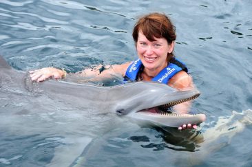 Дельфинарий - шоу и плавание с дельфинами