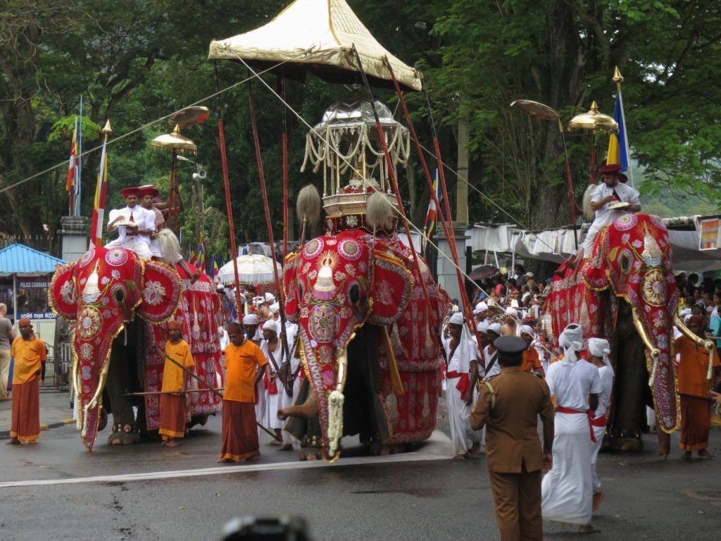Tooth-Relic-Elephant-at-Esala-Perahera-Festival-in-Kandy-Sri-Lanka
