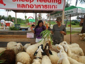 В мире животных - экскурсия из Паттайи