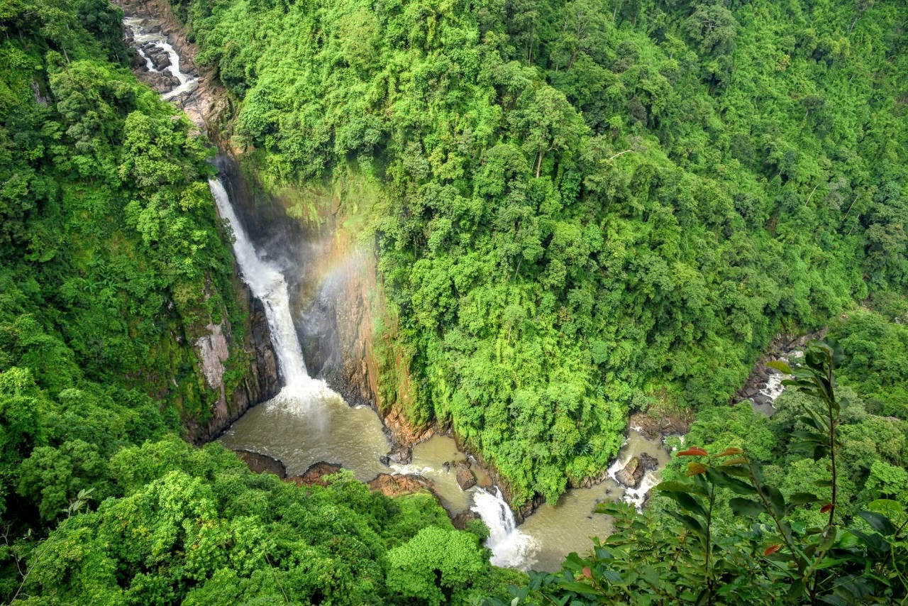 Джунглями называют. Кхао яй национальный парк. Кхао яй Таиланд. Лесной комплекс донгфаяйен-Кхауяй. Водопад Haew Suwat.
