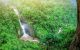 Джунгли зовут — экскурсия в национальный парк Кхауяй